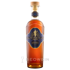 Havana Club Seleccion de Maestros 2025