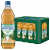 Thüringer Waldquell Ginger Ale 12x1,0 l 2025