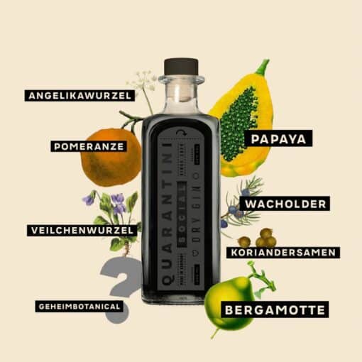 11225_quarantini_black_gin_2022_botanicals